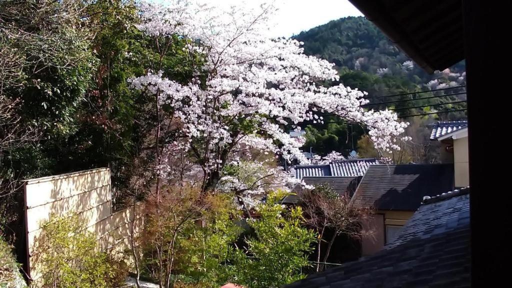 金閣荘 Hotel Kyoto Ngoại thất bức ảnh